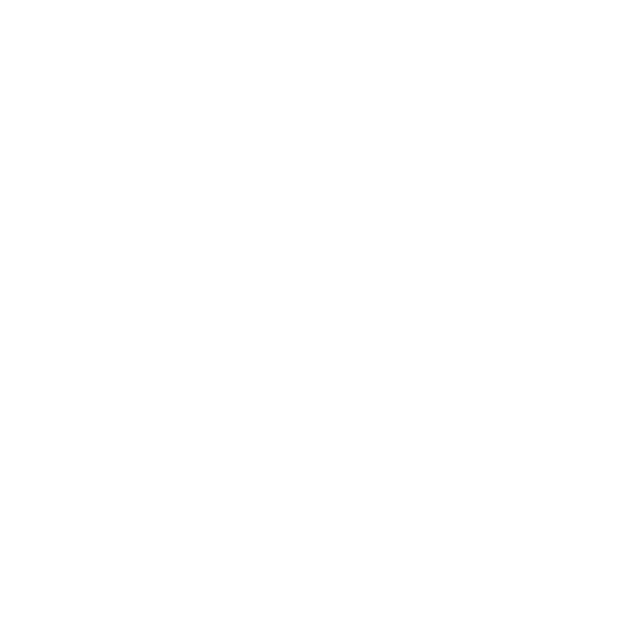 Jenkins Gruppe Logo